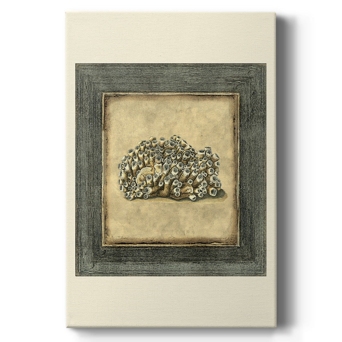 Mini Exotic Coral I (U) - Canvas Art Print