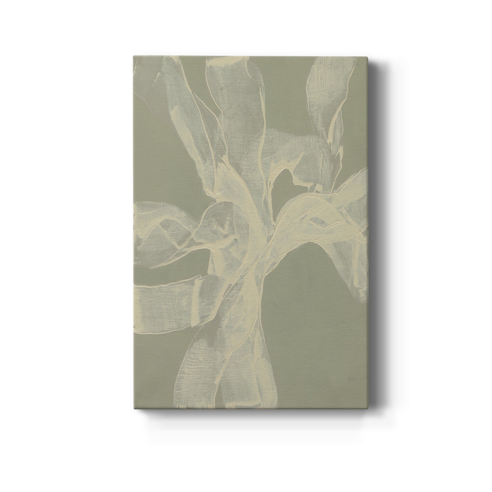 White Ribbon on Celadon II - Canvas Art Print