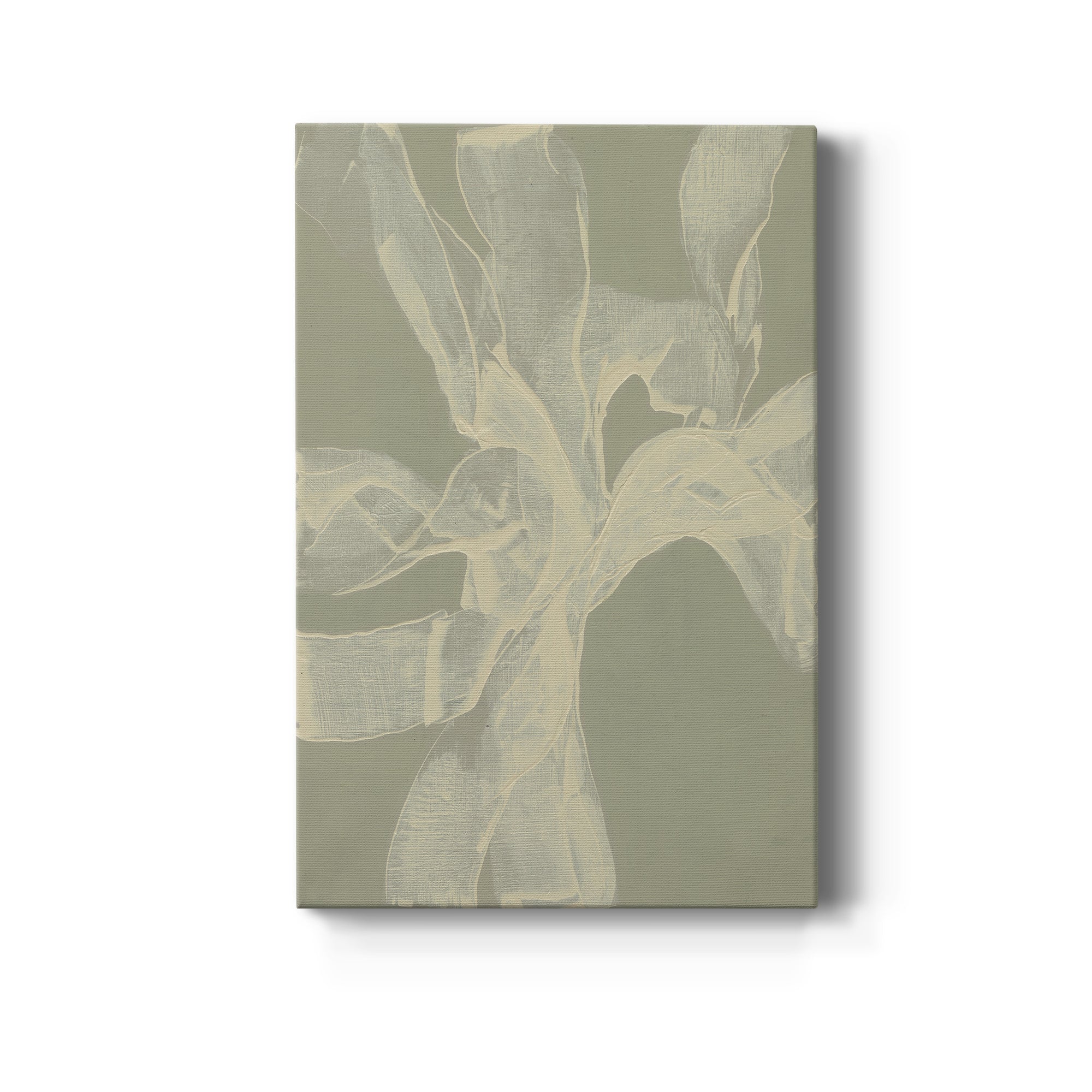 White Ribbon on Celadon II Premium Gallery Wrapped Canvas - Ready to Hang