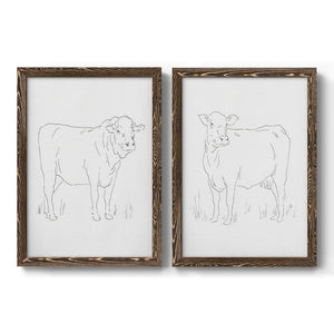 Limousin Cattle I - Barnwood Framed Canvas Set