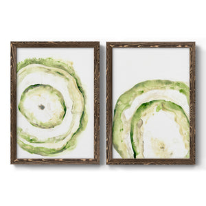 Lichen Halo III - Barnwood Framed Canvas Set