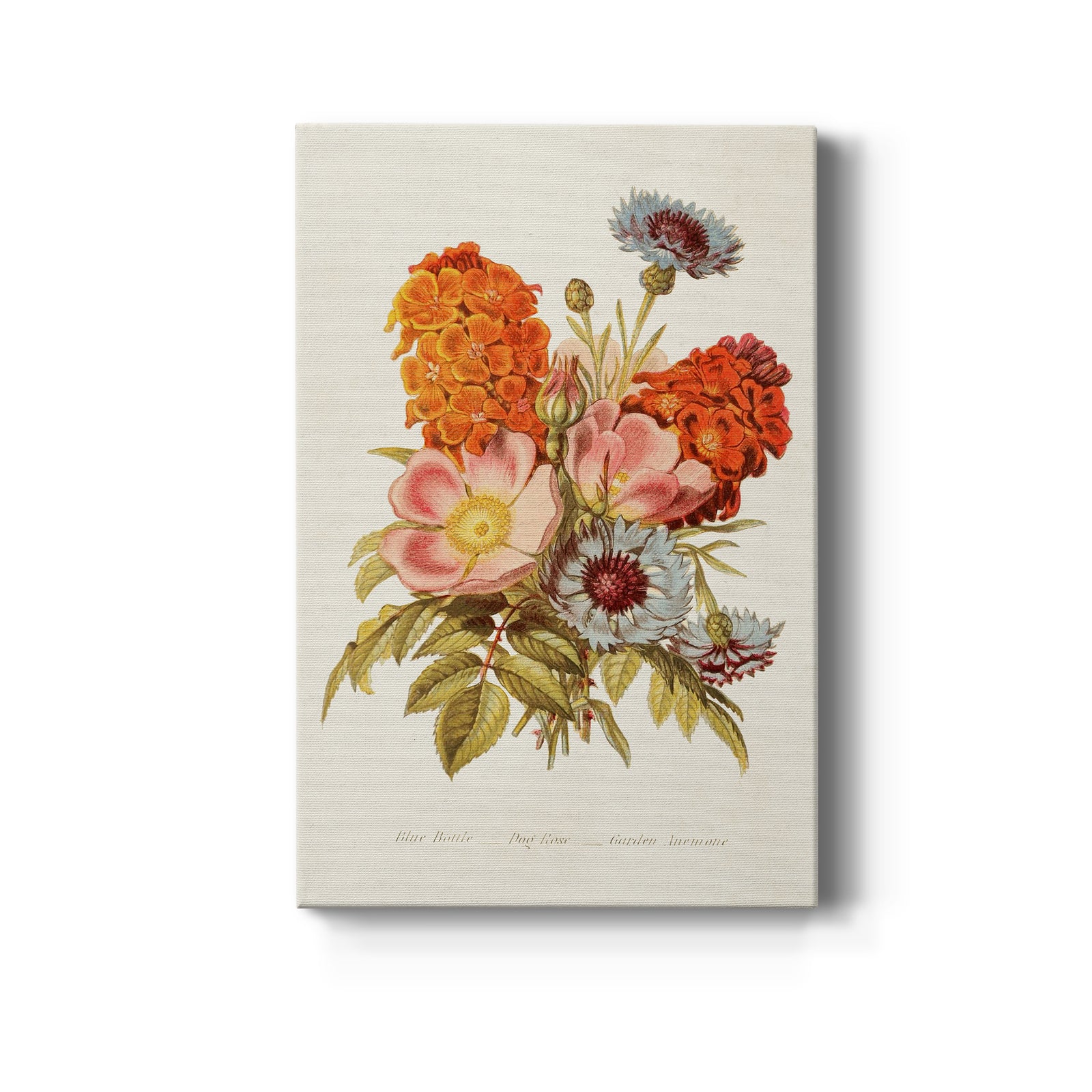 Antique Floral Bouquet II - Canvas Art Print