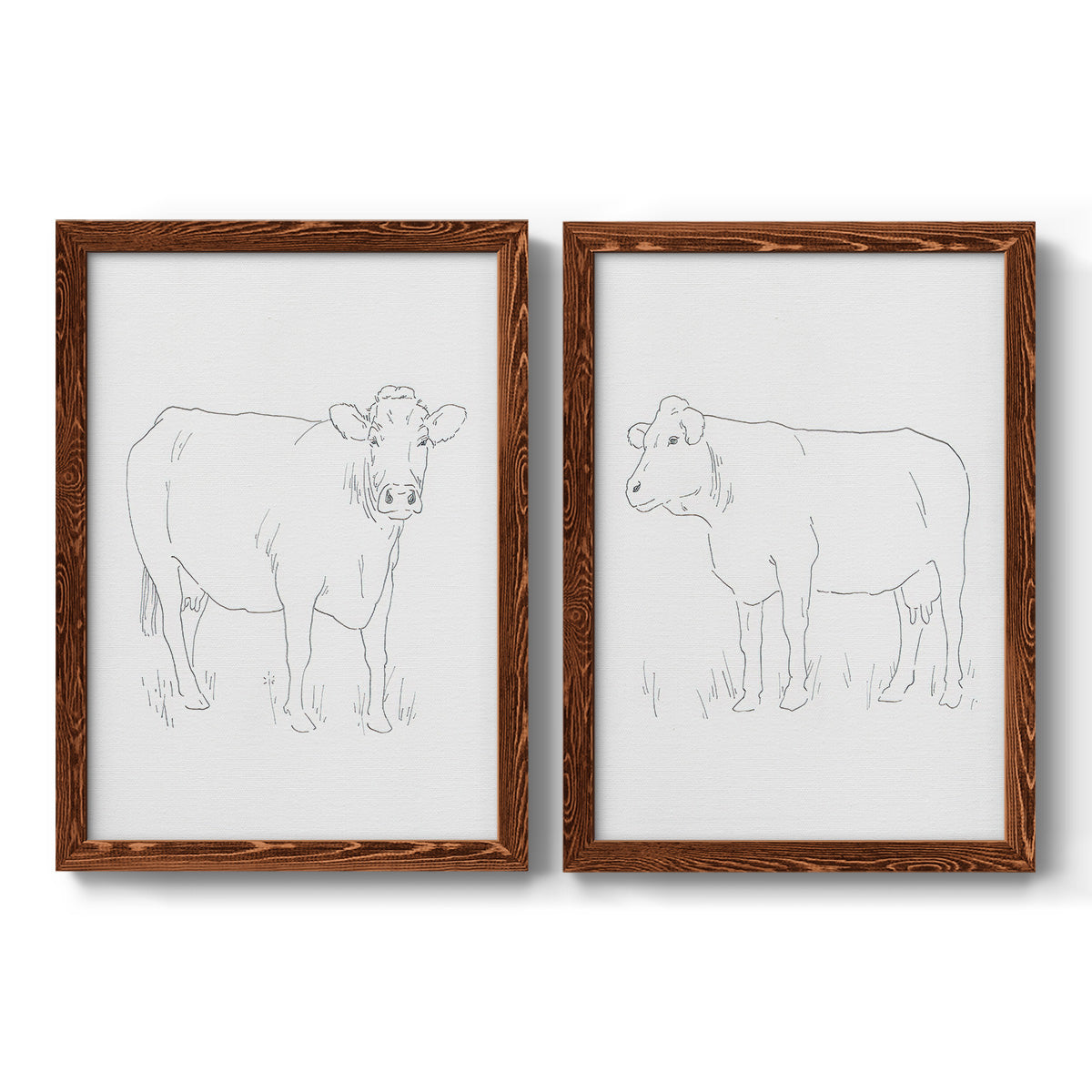 Limousin Cattle III - Premium Framed Canvas 2 Piece Set - Ready to Hang