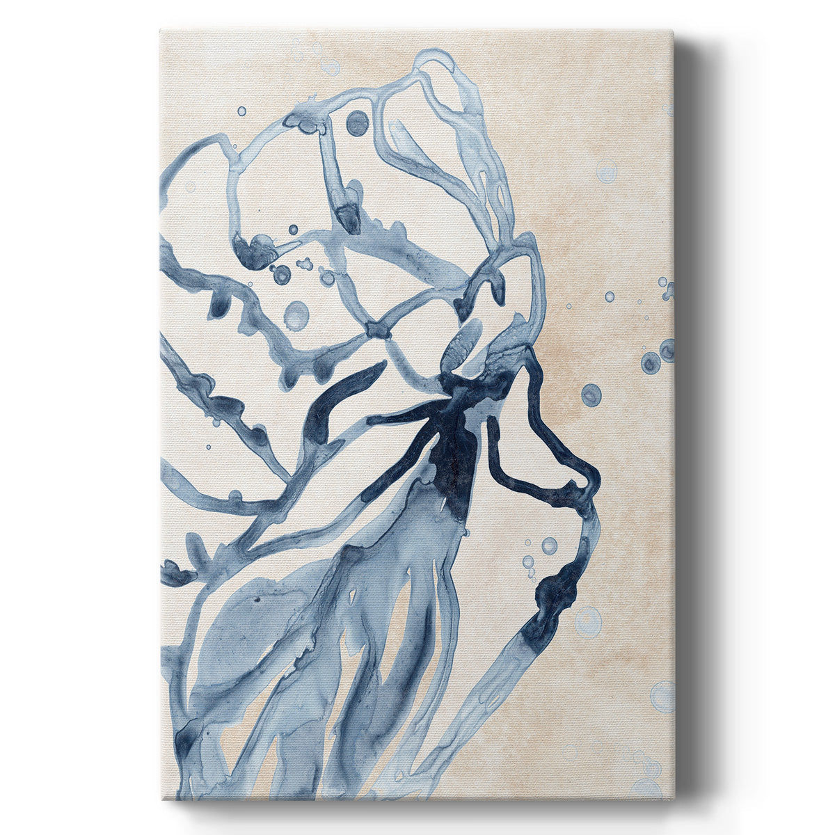 Water Shells I - Canvas Art Print