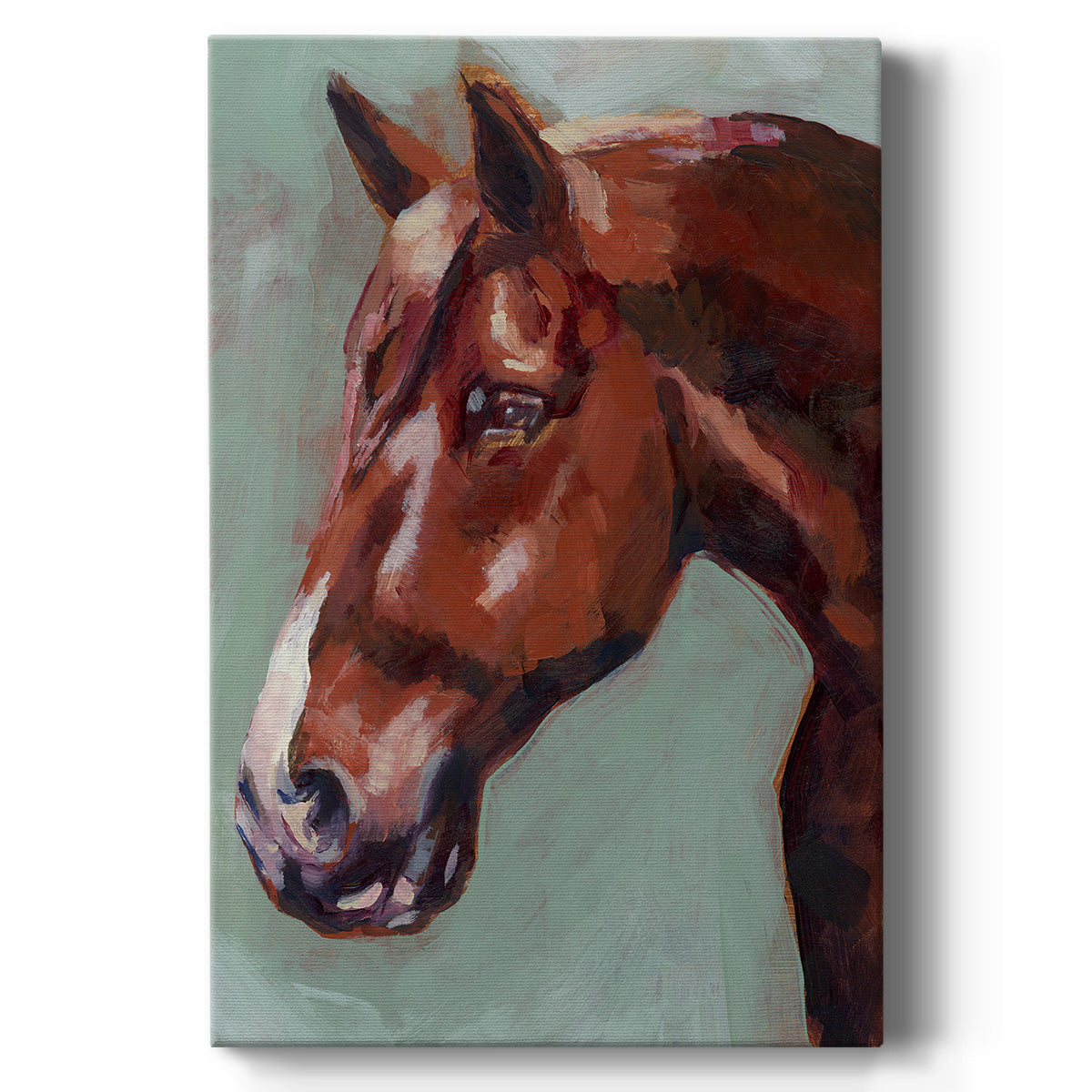 Paint by Number Horse I - Canvas Art Print