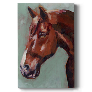 Paint by Number Horse I - Canvas Art Print