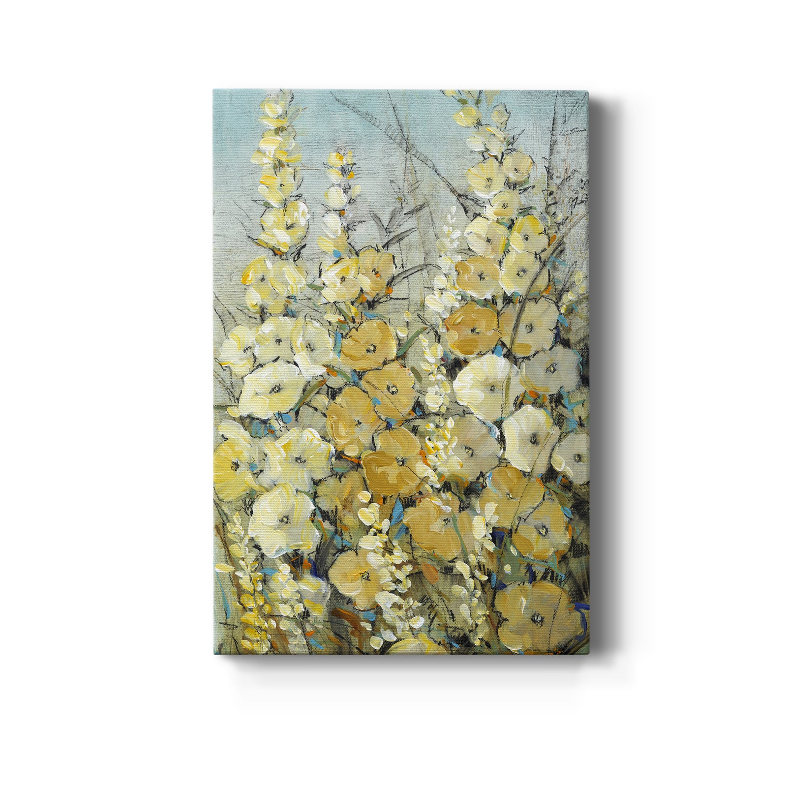 Cluster of Hollyhock II - Canvas Art Print