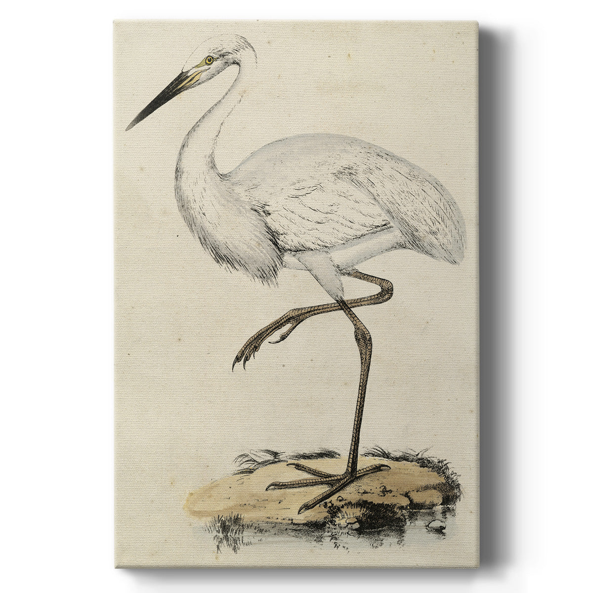 Embellished Antique Heron III (ASH) Premium Gallery Wrapped Canvas - Ready to Hang