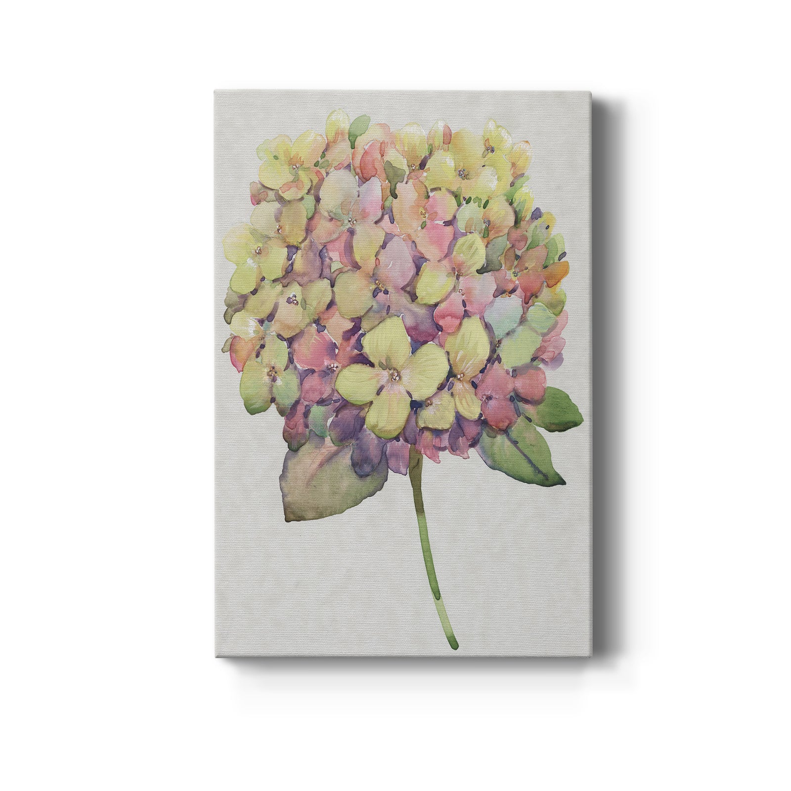 Multicolor Floral II - Canvas Art Print