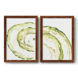 Lichen Halo V - Barnwood Framed Canvas Set