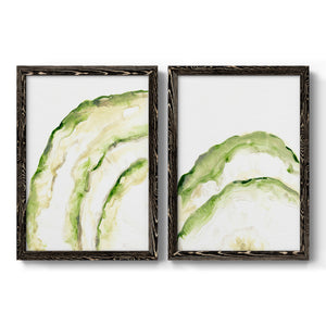 Lichen Halo I - Barnwood Framed Canvas Set