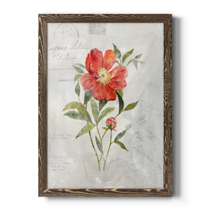 Linen Peony - Premium Canvas Framed in Barnwood - Ready to Hang