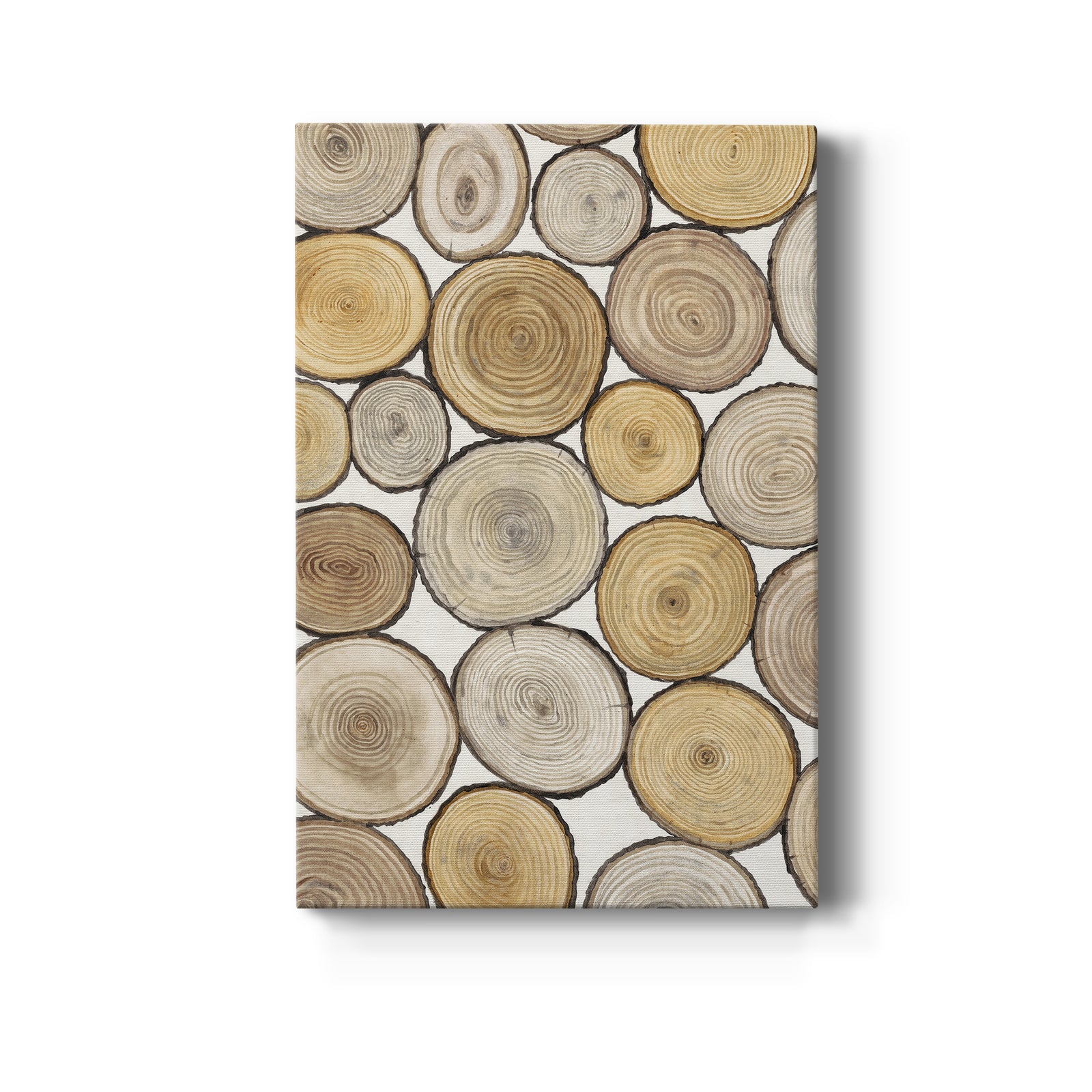 Tree Ring Study I - Canvas Art Print