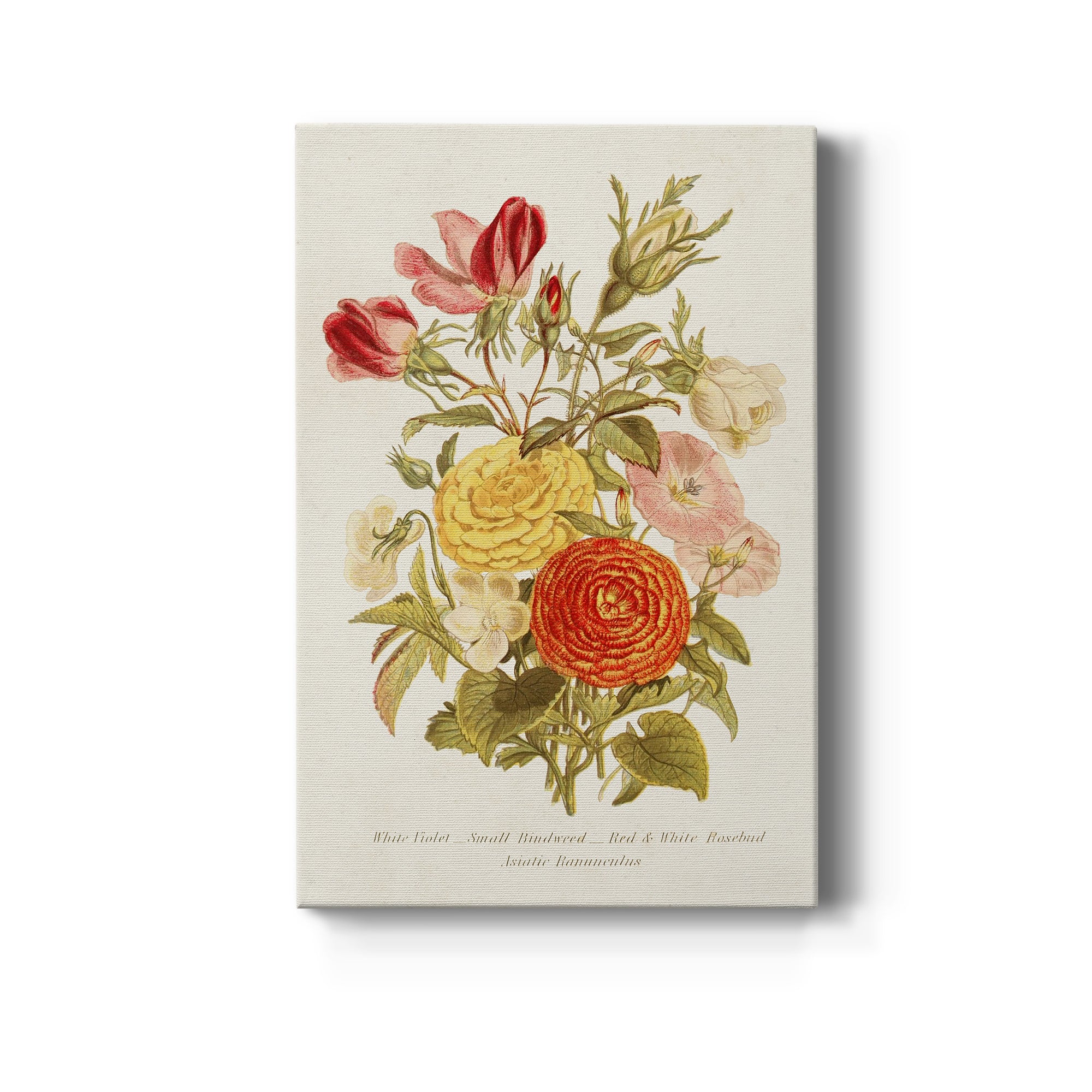 Antique Floral Bouquet I Premium Gallery Wrapped Canvas - Ready to Hang