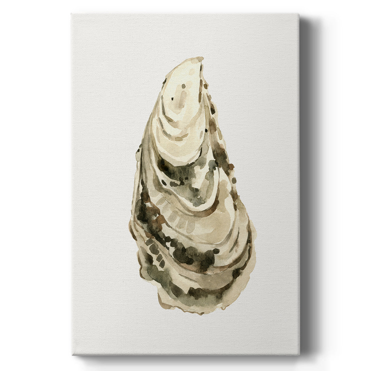 Neutral Oyster Study III  Premium Gallery Wrapped Canvas - Ready to Hang