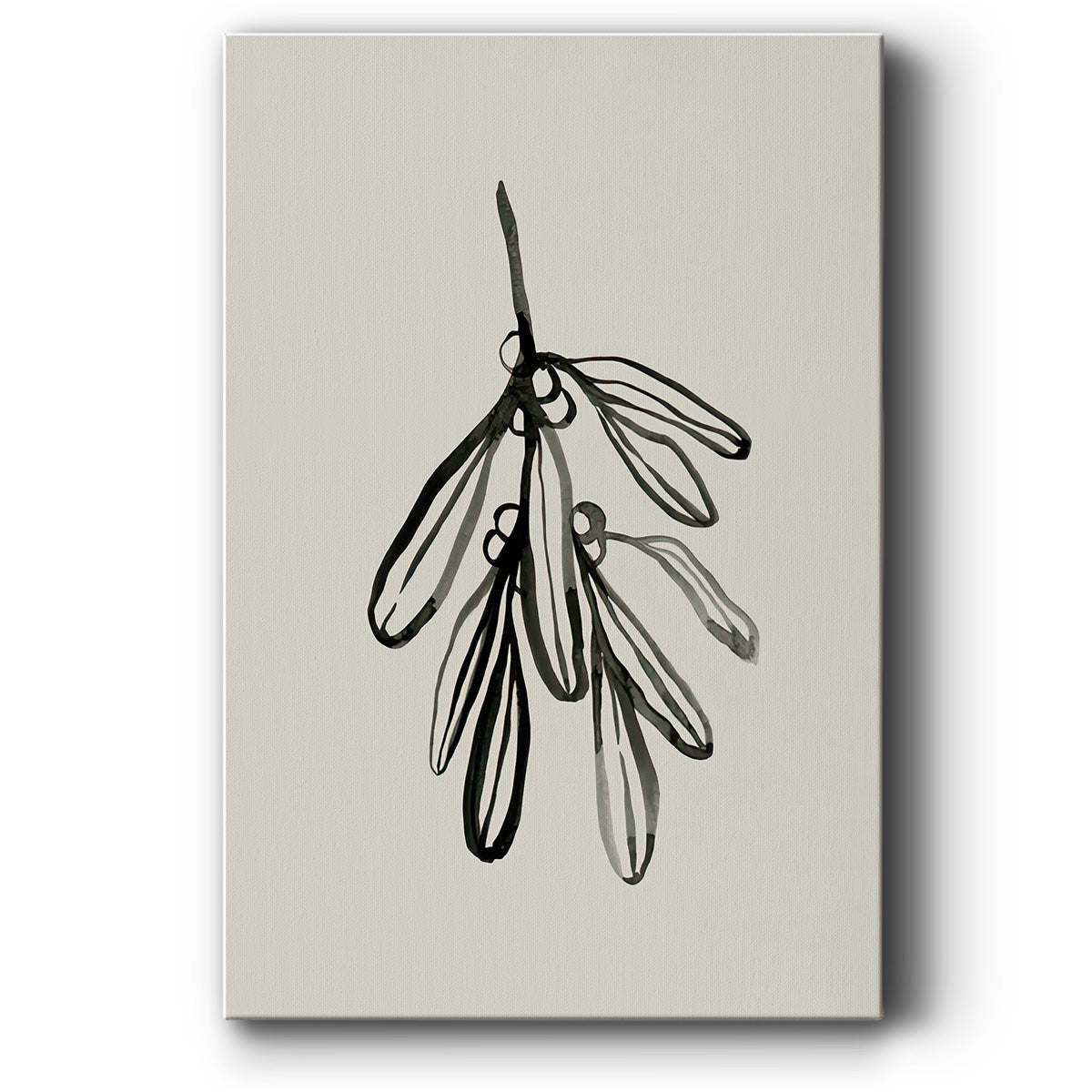 Mistletoe Sketch I - Canvas Art Print