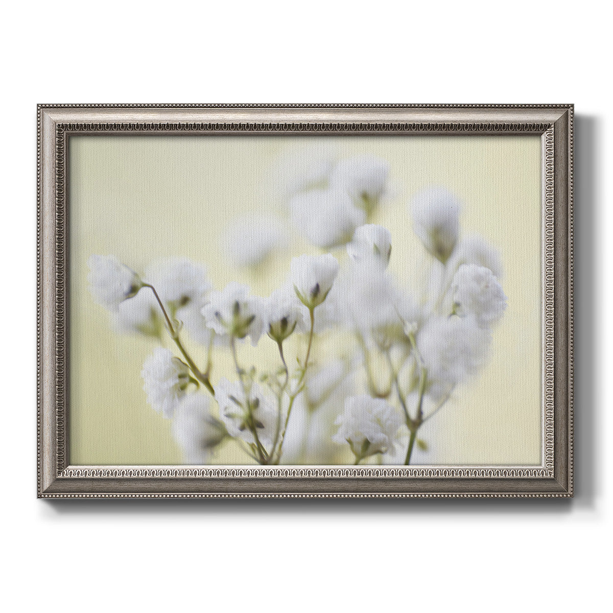 Dogwood Spring I Premium Framed Canvas- Ready to Hang