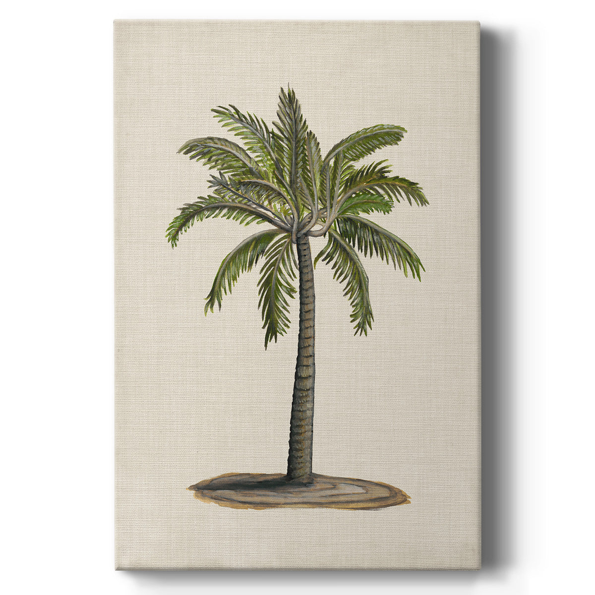 UA CH British Palms I - Canvas Art Print