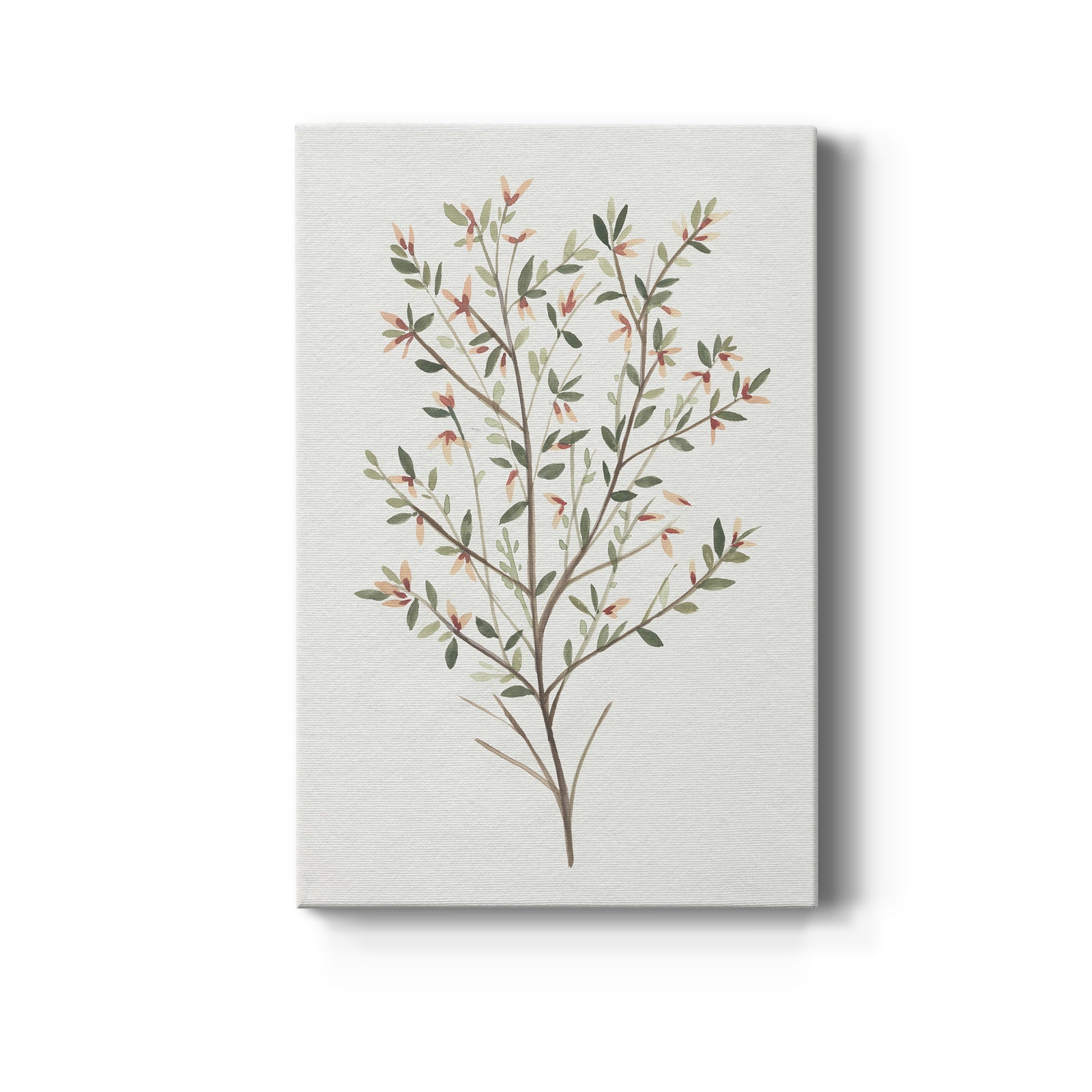 Single Sprig III - Canvas Art Print