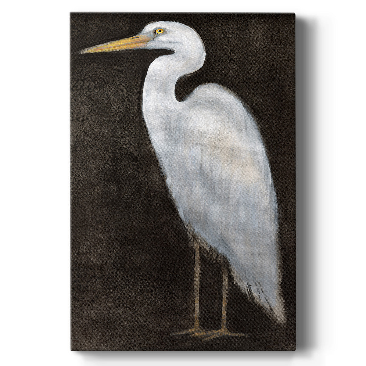 White Heron Portrait II  - Canvas Art Print