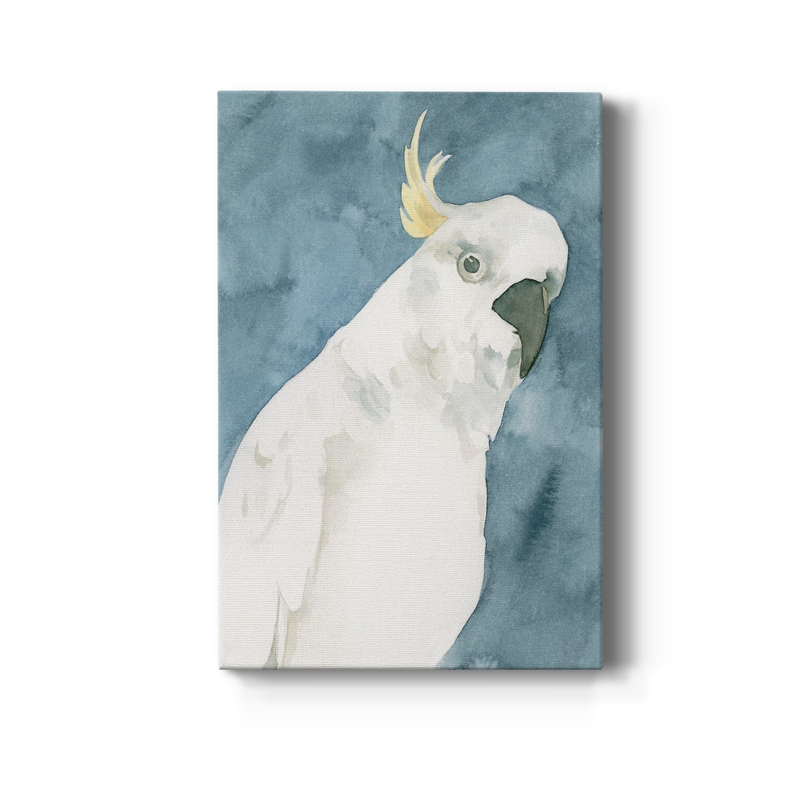 Cockatoo Portrait I - Canvas Art Print