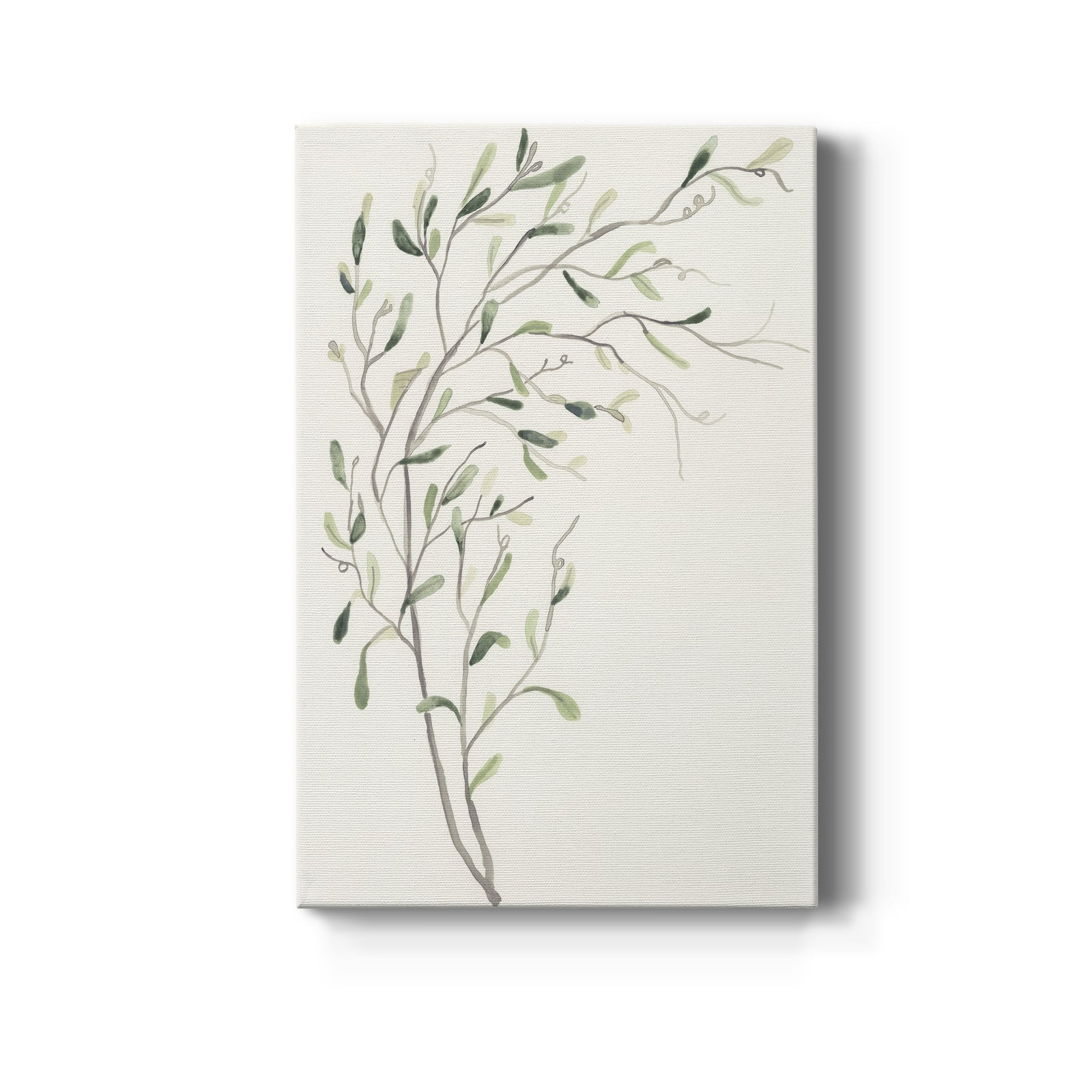Spindle Sprig II - Canvas Art Print