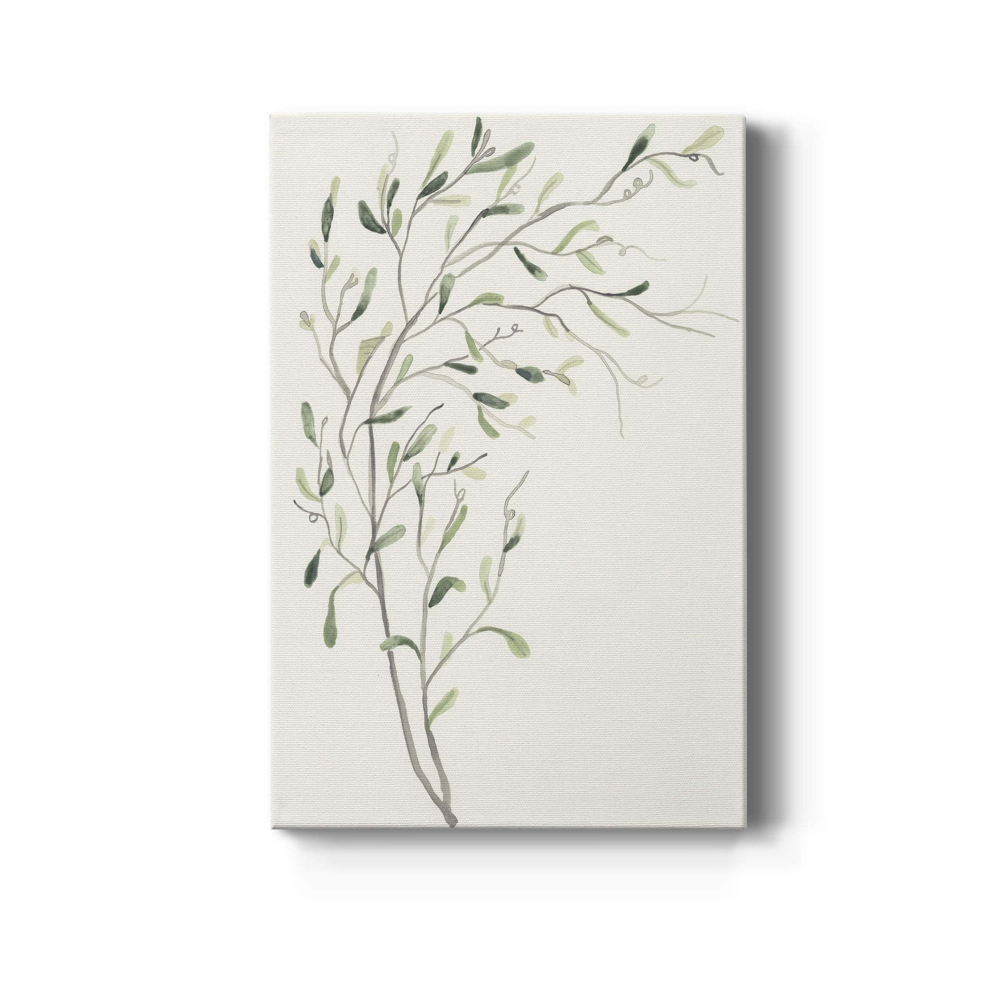 Spindle Sprig II Premium Gallery Wrapped Canvas - Ready to Hang