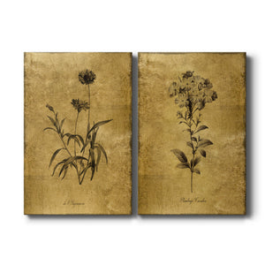 Gold Sketch Botanical I Premium Gallery Wrapped Canvas - Ready to Hang - Set of 2 - 8 x 12 Each