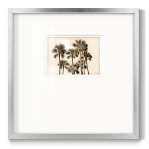 Blushing Palms Premium Framed Print Double Matboard