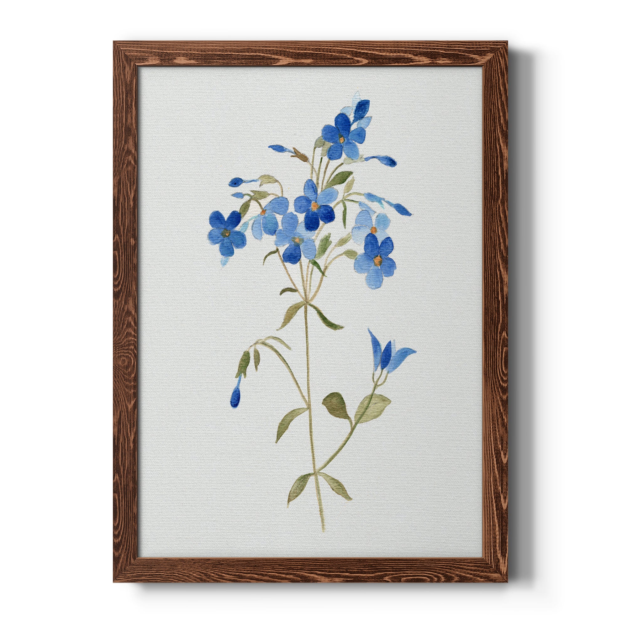 Blue Blossom Botanical II - Premium Canvas Framed in Barnwood - Ready to Hang
