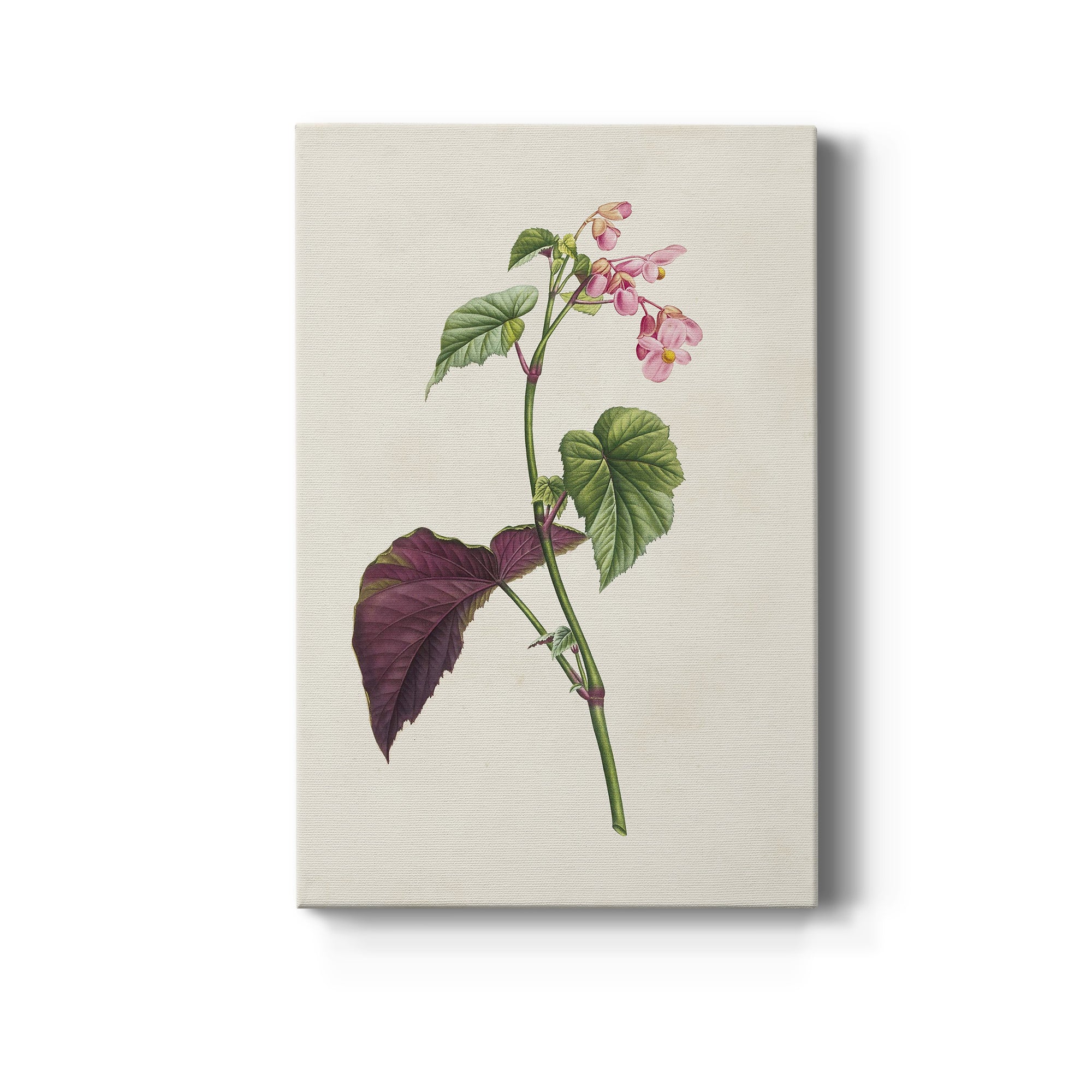 Pretty Pink Botanicals VI Premium Gallery Wrapped Canvas - Ready to Hang