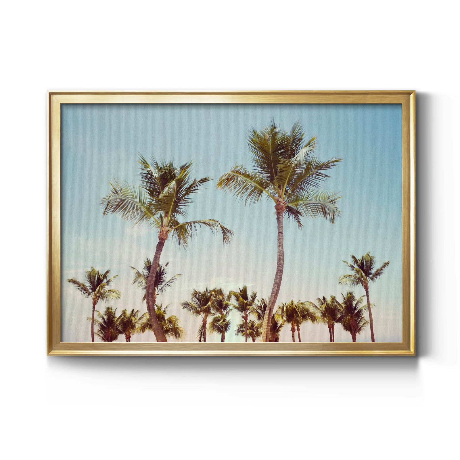 Aruba Palm - Modern Framed Canvas Print