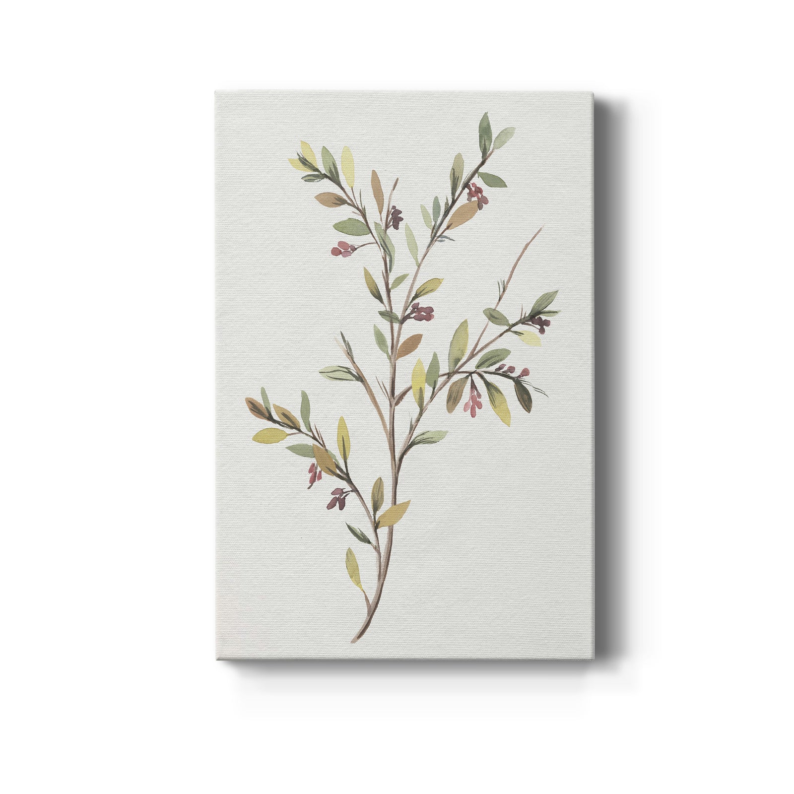 Single Sprig II - Canvas Art Print