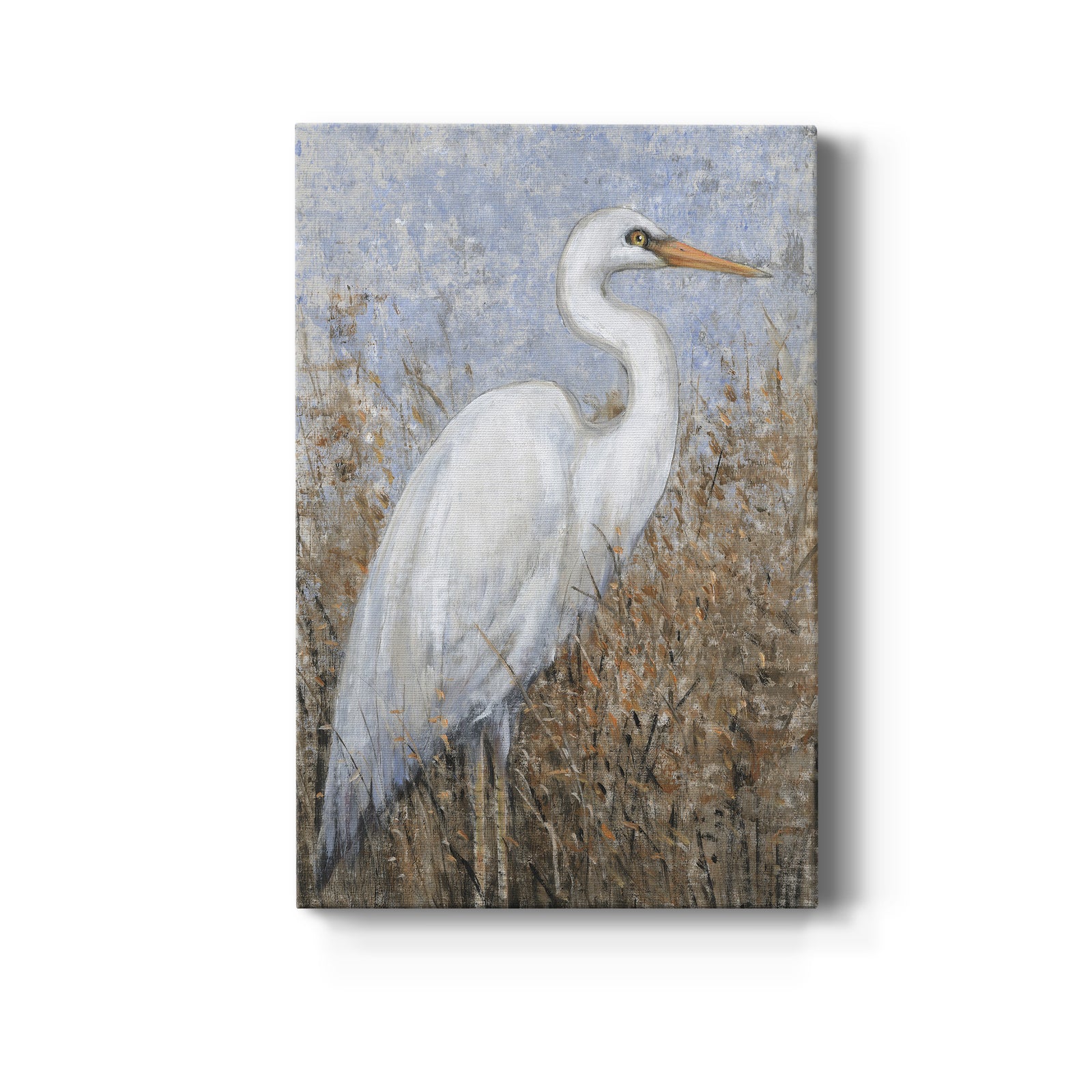 White Heron I - Canvas Art Print