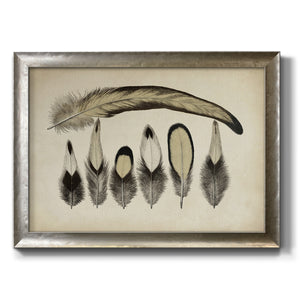Vintage Feathers VII Premium Framed Canvas- Ready to Hang