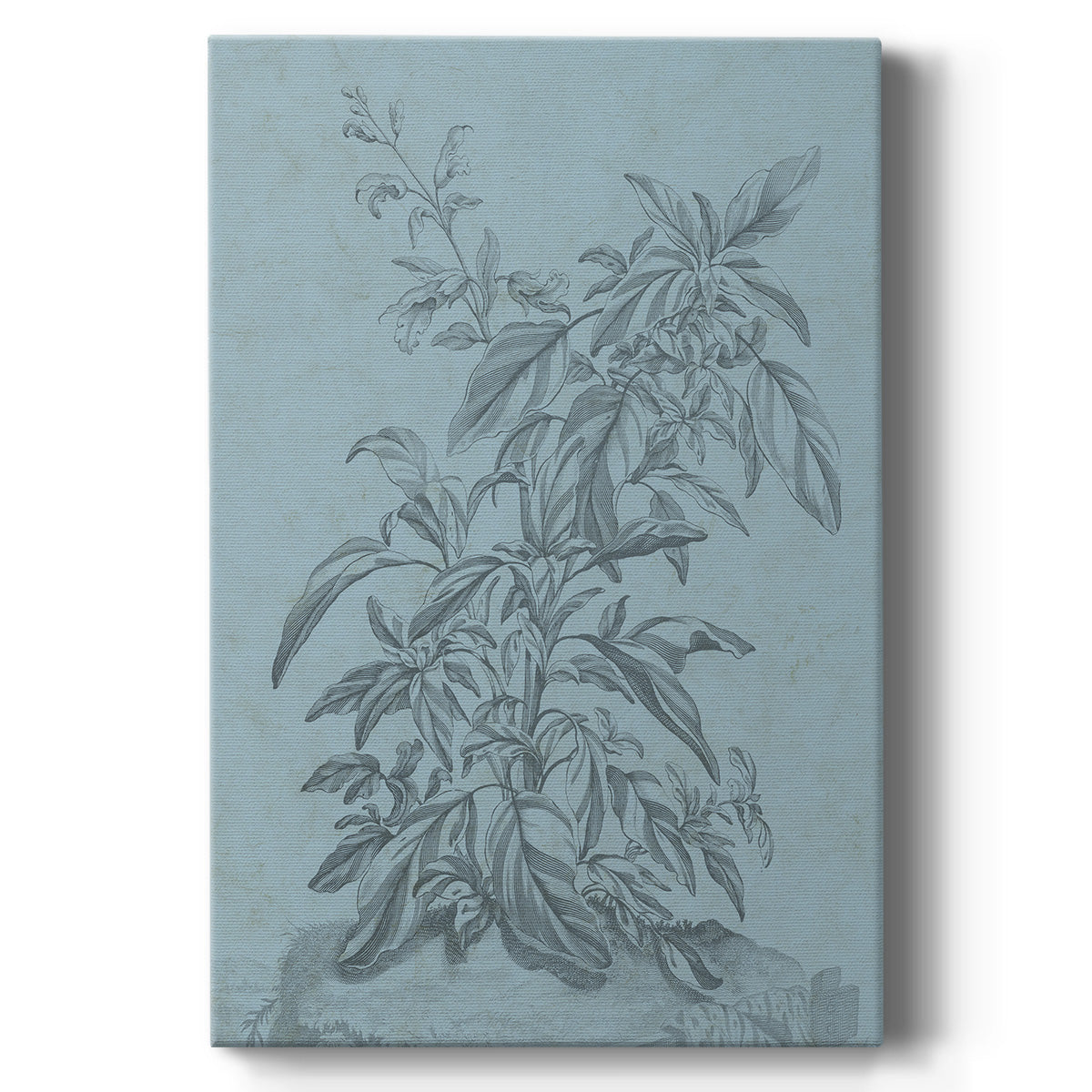 Botanical on Teal III Premium Gallery Wrapped Canvas - Ready to Hang