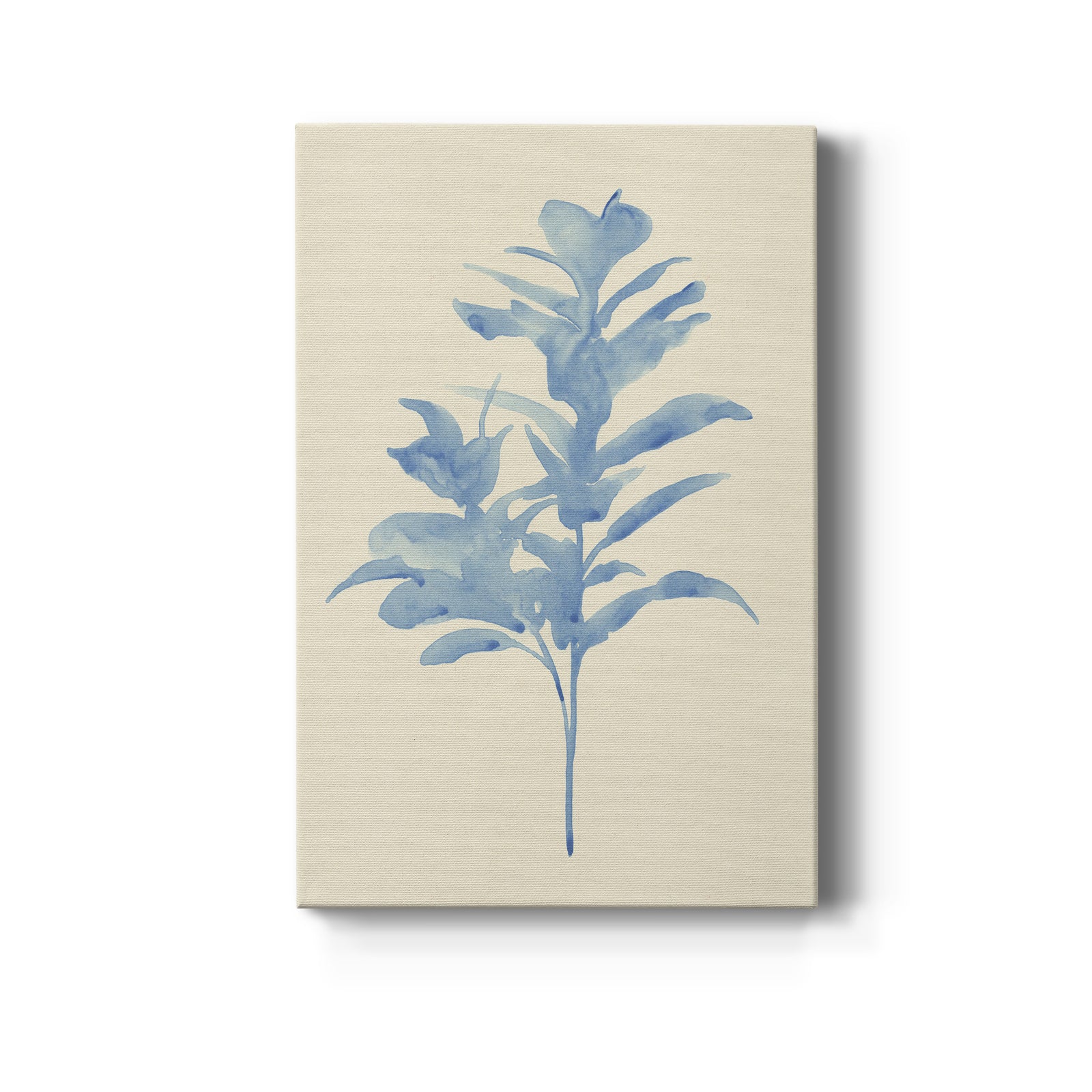 Verditer Fig I - Canvas Art Print