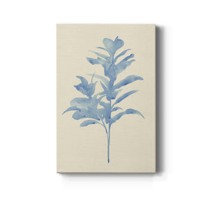 Verditer Fig I - Canvas Art Print