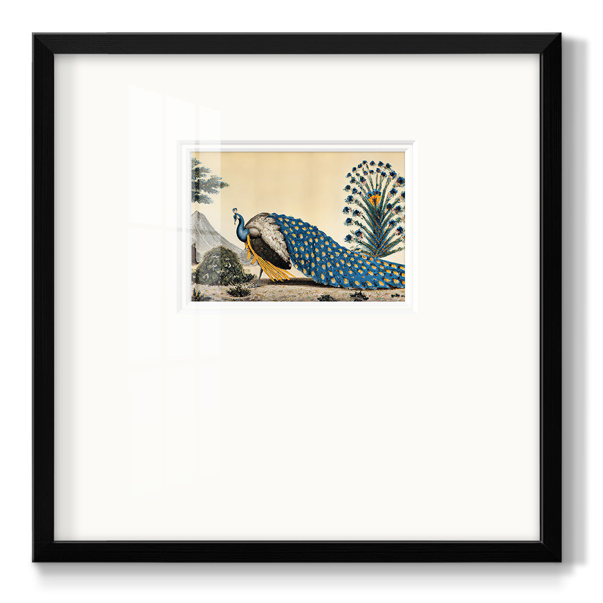 Peacock Plum Premium Framed Print Double Matboard