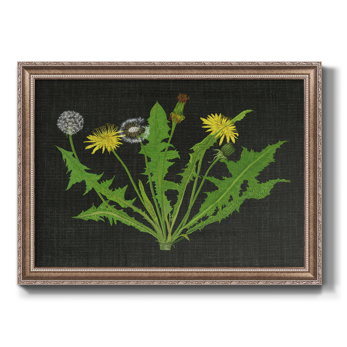 Wild Dandelion I Premium Framed Canvas- Ready to Hang
