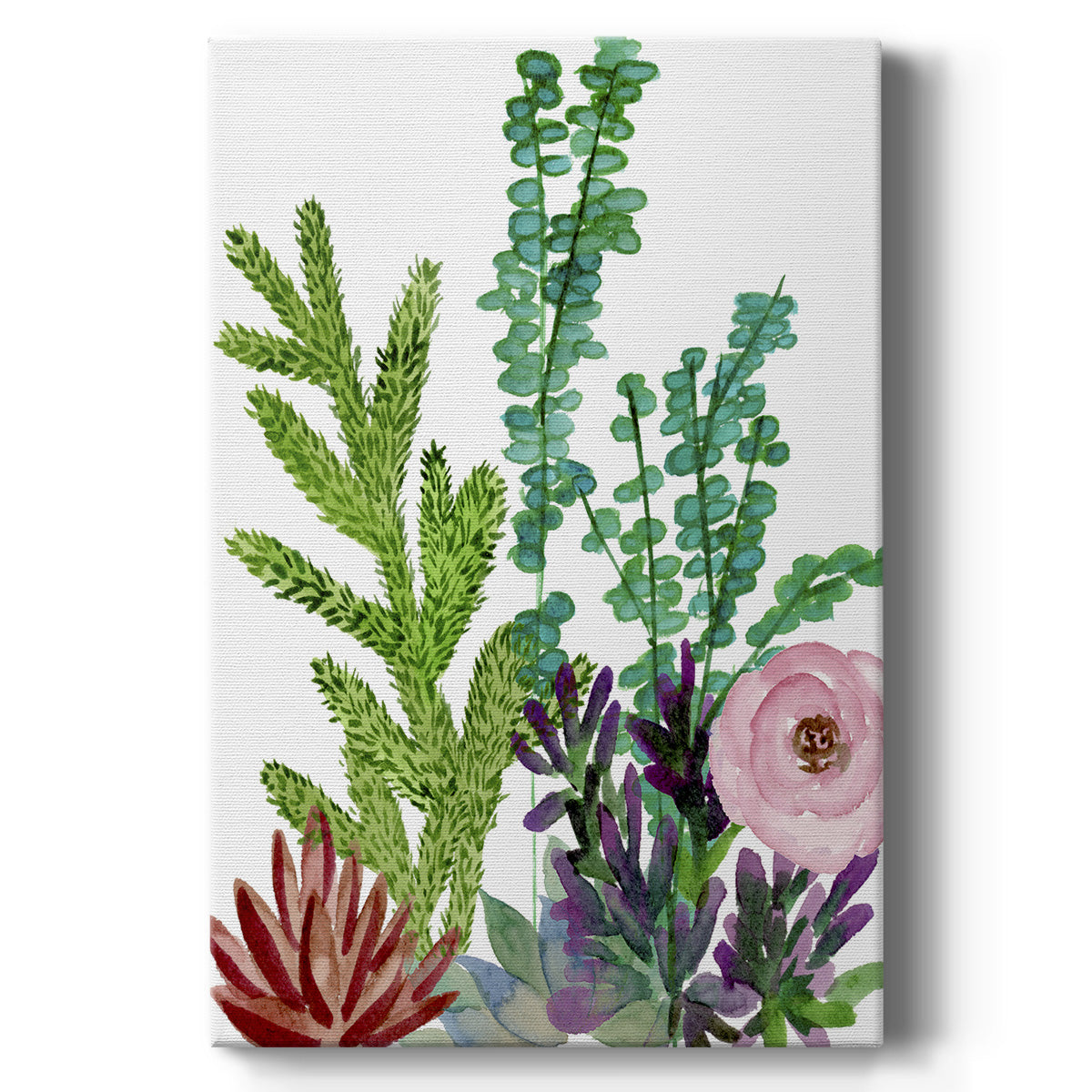 Little Garden II - Canvas Art Print