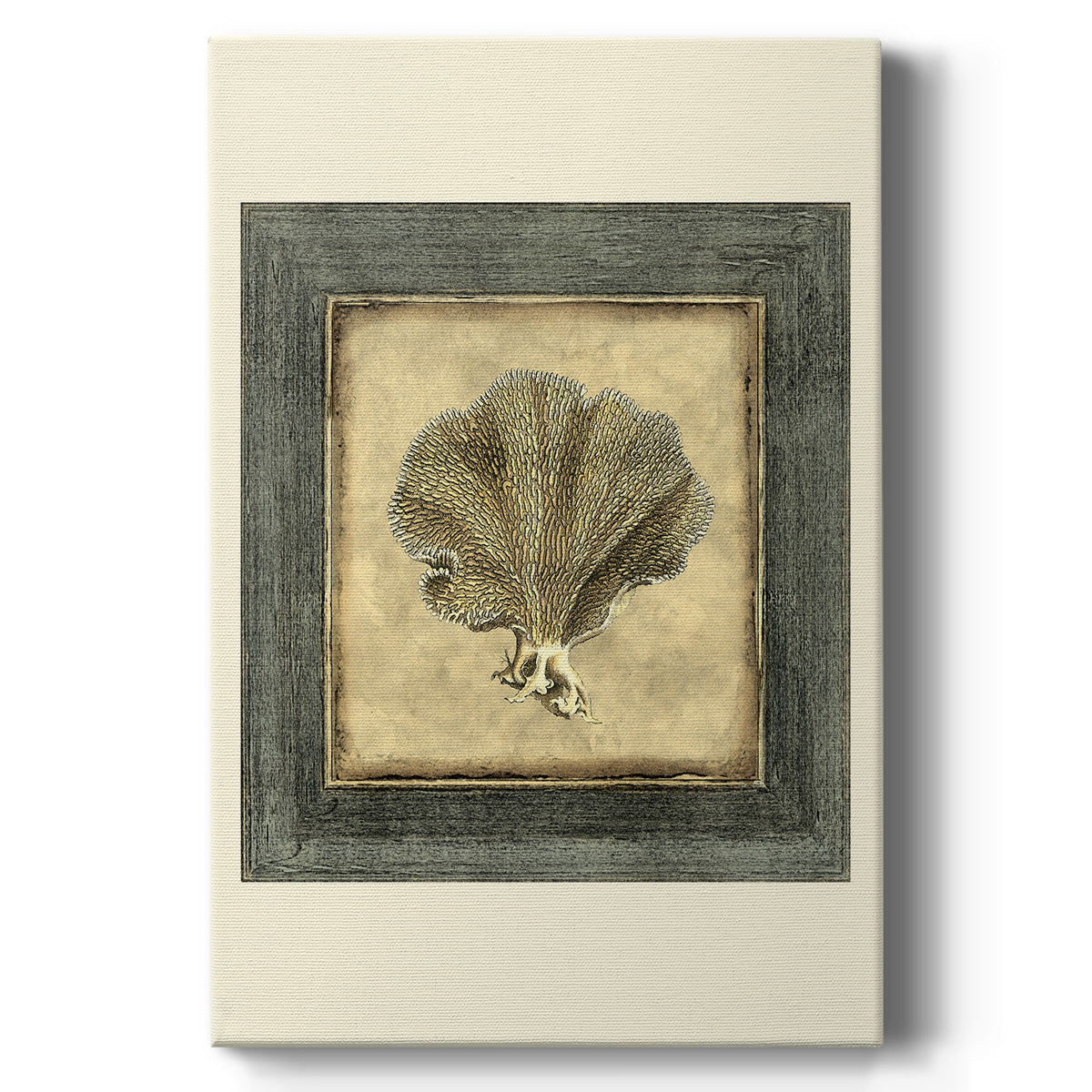 Mini Exotic Coral VI (U) - Canvas Art Print