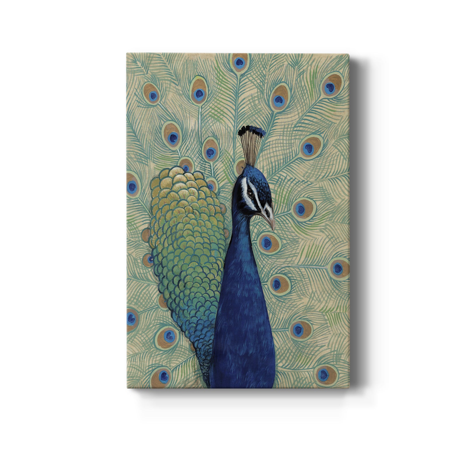 Blue Peacock I - Canvas Art Print
