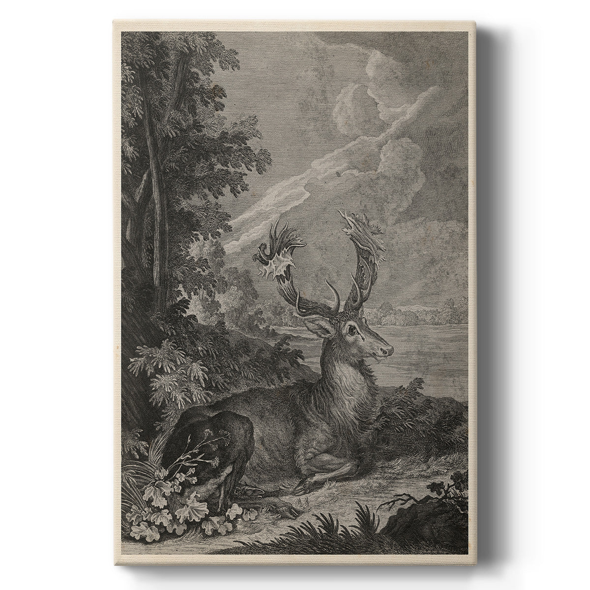 Woodland Deer III - Canvas Art Print