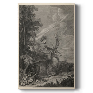 Woodland Deer III Premium Gallery Wrapped Canvas - Ready to Hang