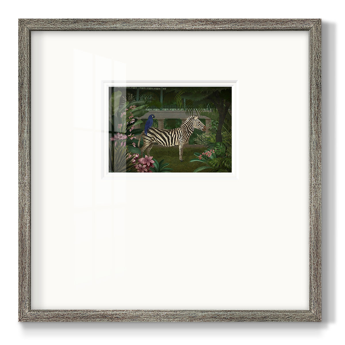 Zebra In Conservatory Premium Framed Print Double Matboard
