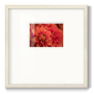 Spring Fire Premium Framed Print Double Matboard