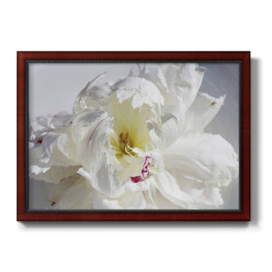 Breathless IV Premium Framed Canvas- Ready to Hang