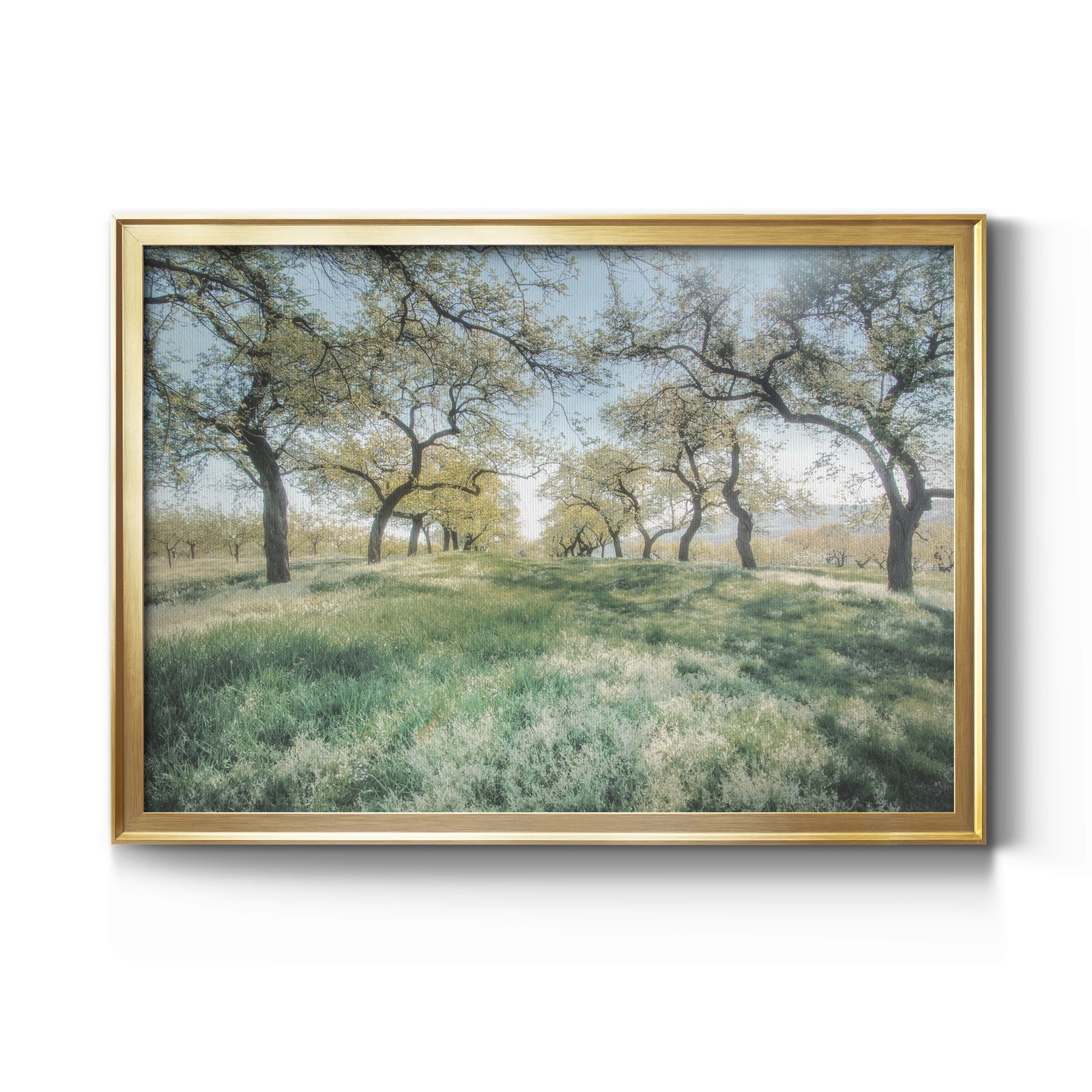 Charming Spring Mood - Modern Framed Canvas Print