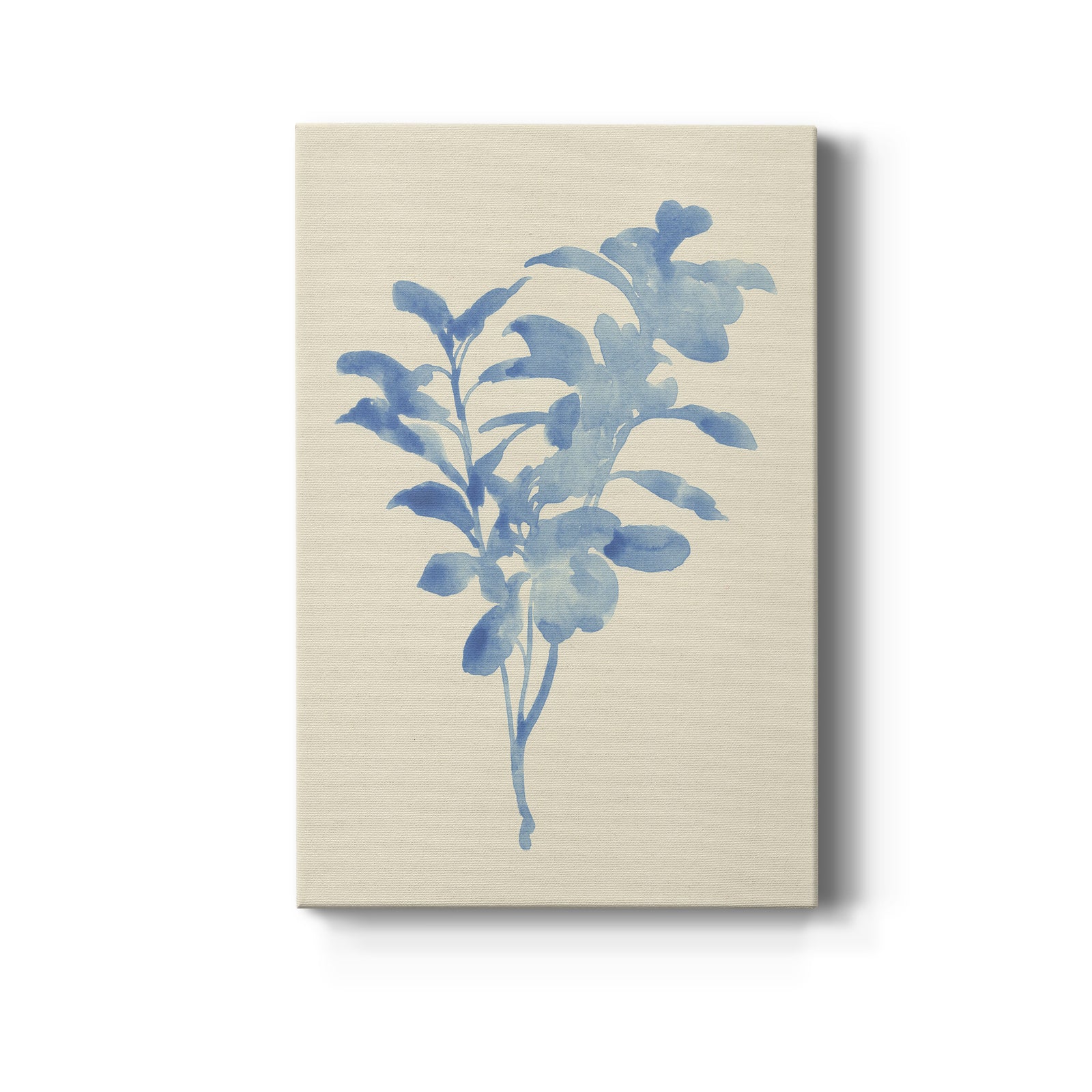 Verditer Fig II - Canvas Art Print